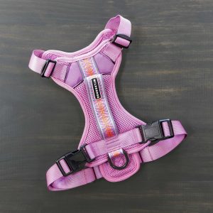 Hundesele - Lilac