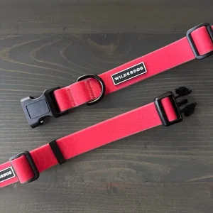 Vanntett Hundehalsbånd - Red