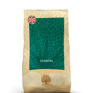 Stamina - 10kg