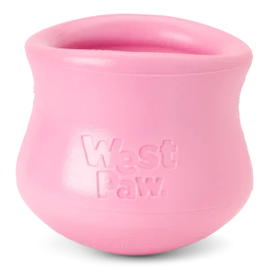 Toppl Treat toy