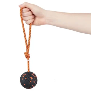 Dog ball on rope