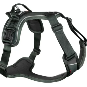 Non-stop - Ramble harness