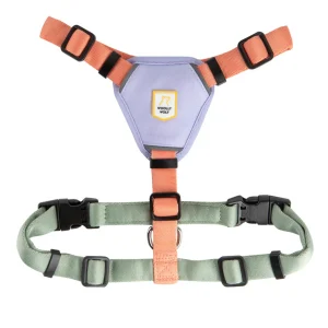 Woolly Wolf - Softline sele Color Block