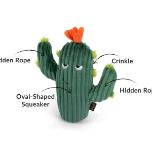 Blooming Buddies Collection Prickly Pup Cactus